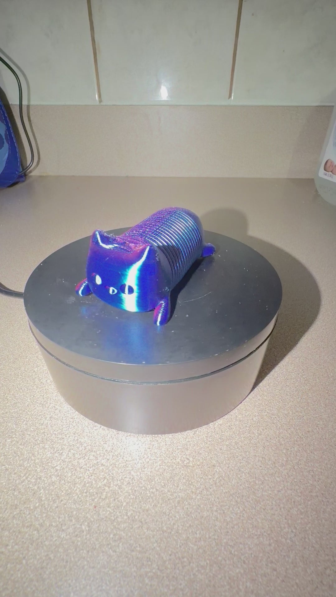 Cat Slinky Toy